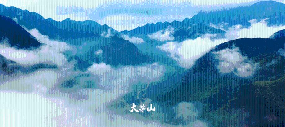 自治区十四届人大二次会议今日开幕!