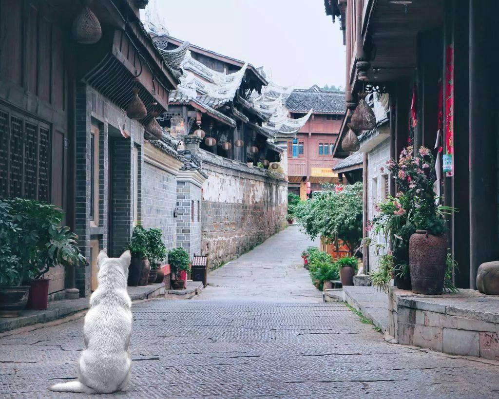 脱逃者