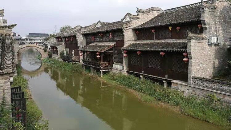 敏捷的白球